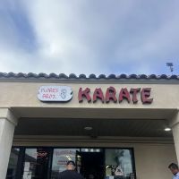 Flores Brothers Karate Std ico