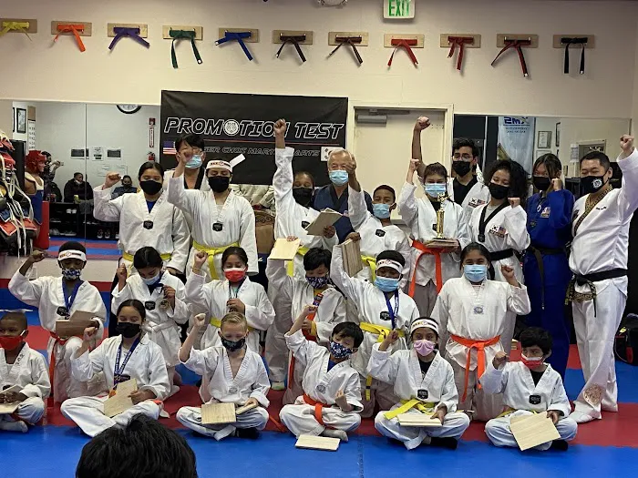 Tiger Choi Martial Arts, Taekwondo Picture 3