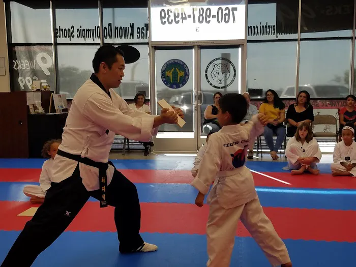 Tiger Choi Martial Arts, Taekwondo Picture 8