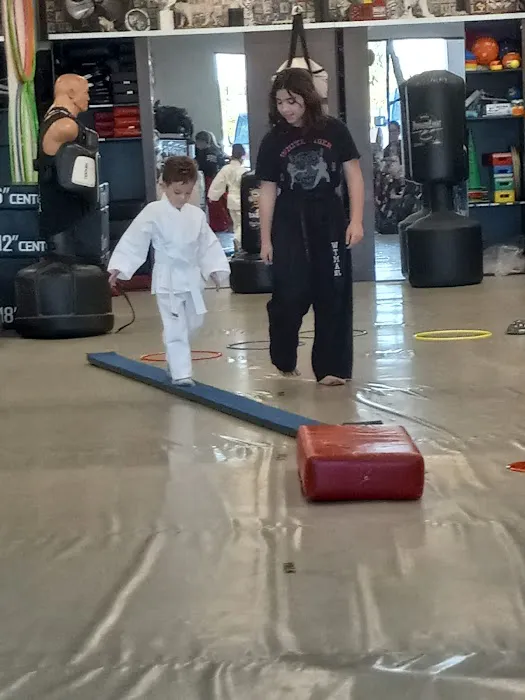 White Tiger Martial Arts Picture 2