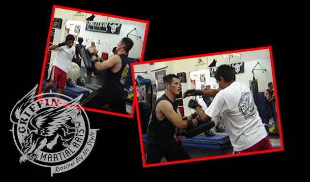 Griffin Martial Arts Picture 3