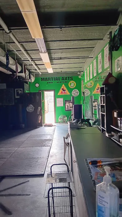 Griffin Martial Arts Picture 4