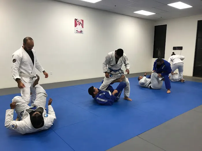 EDJ School of Jiu Jitsu Hemet Picture 3
