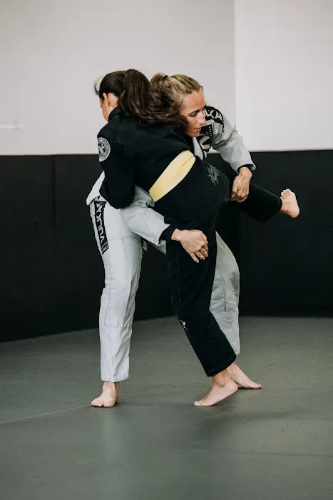 EDJ School of Jiu Jitsu Hemet Picture 6