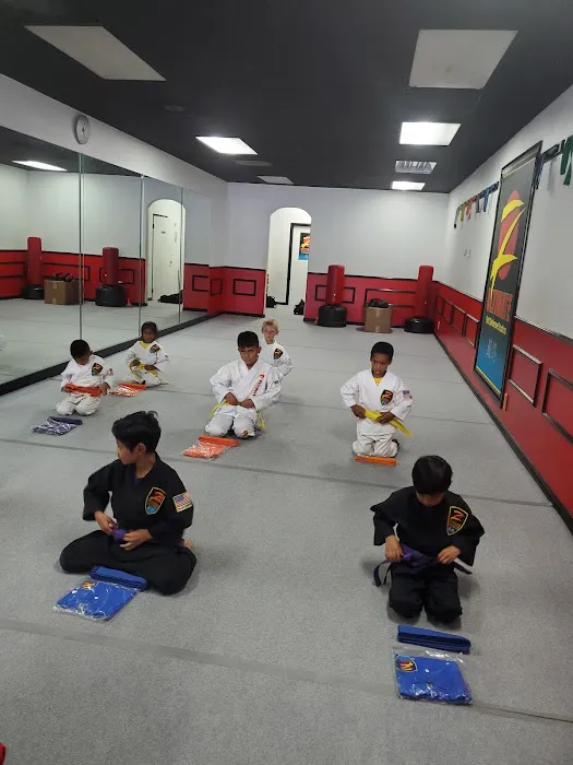 Z-Ultimate Self Defense Studios Picture 2