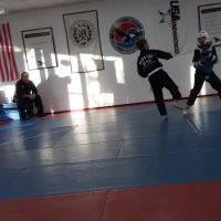 Martial Art Concepts ico