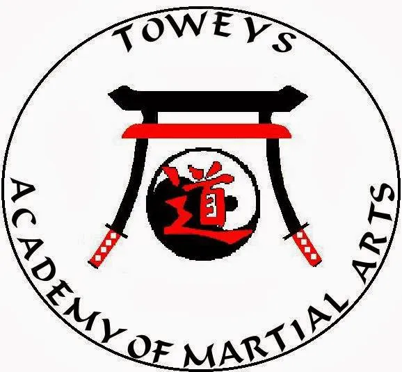 Towey's Academy of Martial Arts Picture 2