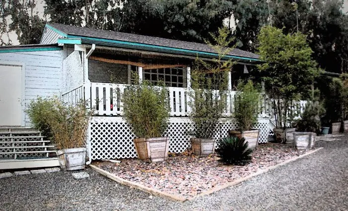 Towey's Academy of Martial Arts Picture 3