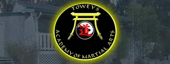 Towey's Academy of Martial Arts Picture 4