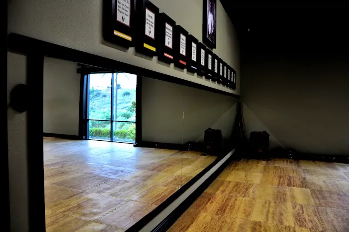 Champion Eyes Martial Arts Picture 2