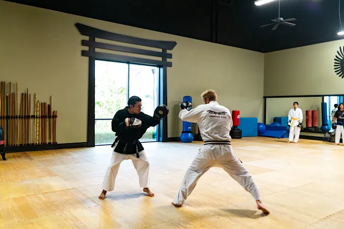 Champion Eyes Martial Arts Picture 7