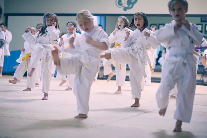 Champion Eyes Martial Arts Picture 5