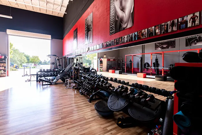 Champion Eyes Martial Arts Picture 9