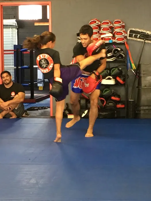 Pu‘u Muay Thai Martial Arts & Kickboxing Ventura Picture 8