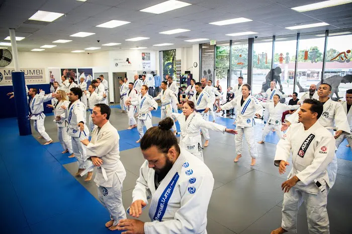 Morumbi Jiu Jitsu & Fitness Academy - Ventura Picture 4