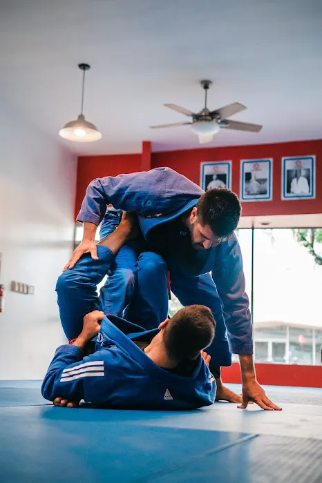 Gracie Barra Ventura Picture 4