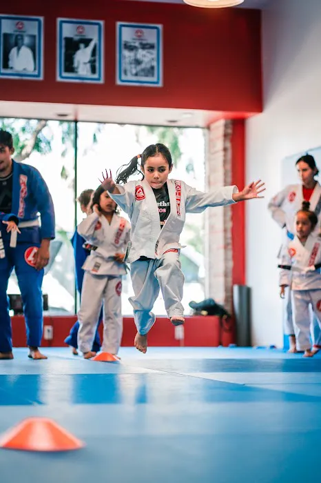 Gracie Barra Ventura Picture 1