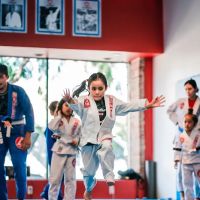 Gracie Barra Ventura ico