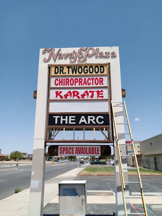 The Academy of Applied Martial Arts Picture 7