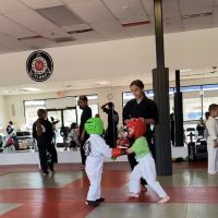 Happy Life Mix Martial Arts ico