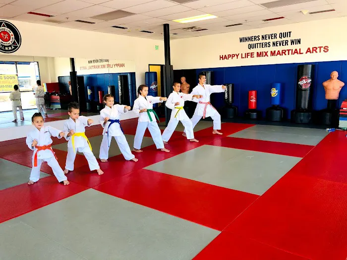 Happy Life Mix Martial Arts Picture 10