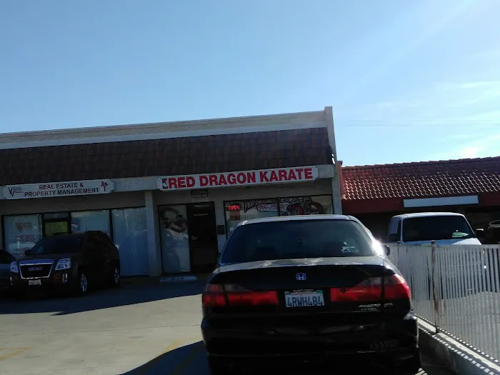 Red Dragon Karate Picture 4
