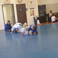 Gracie Humaita Hemet ico