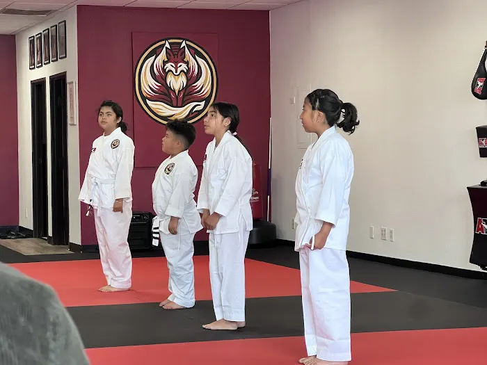 Realm Martial Arts Picture 1