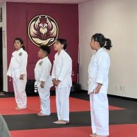 Realm Martial Arts ico