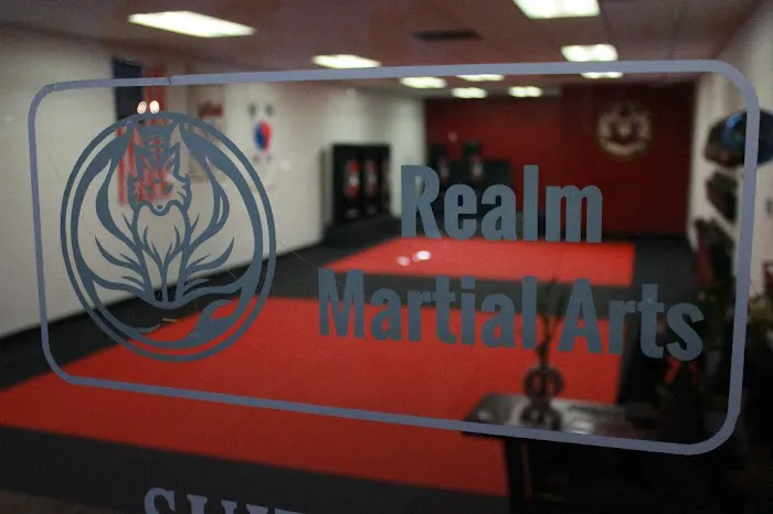 Realm Martial Arts Picture 6