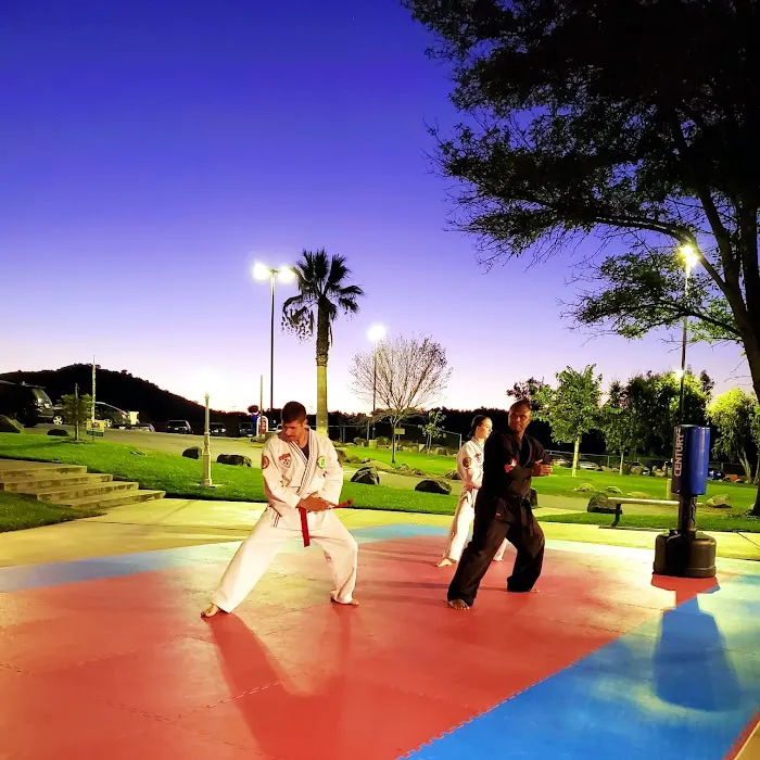 Spirit Martial Arts Picture 6