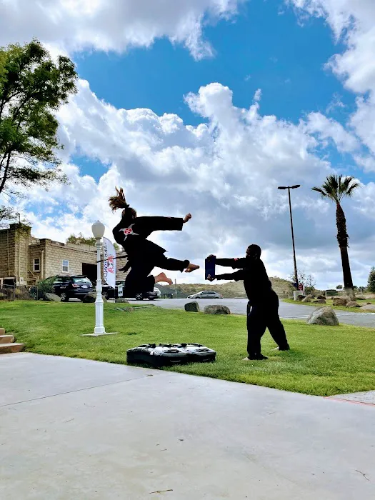 Spirit Martial Arts Picture 7