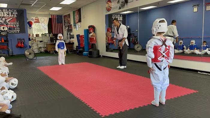 North County Taekwondo Picture 1