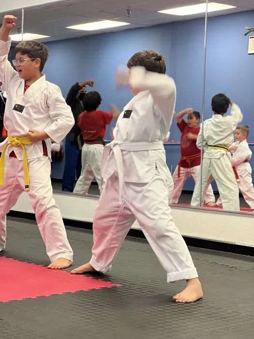 North County Taekwondo Picture 3