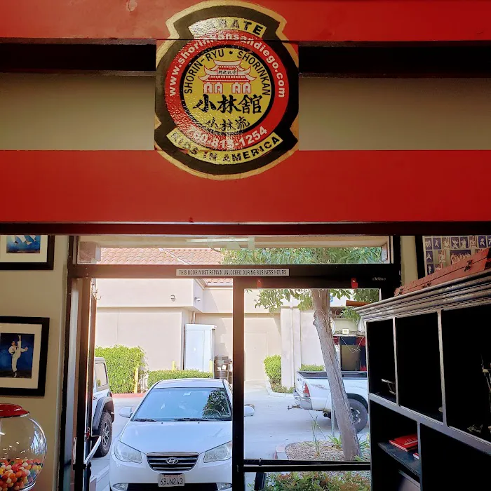 Karate Kids in America Picture 1