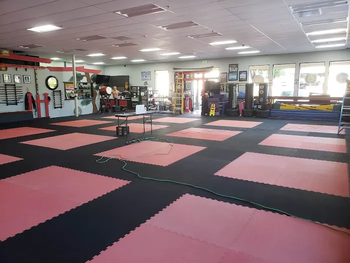 Karate Kids in America Picture 4