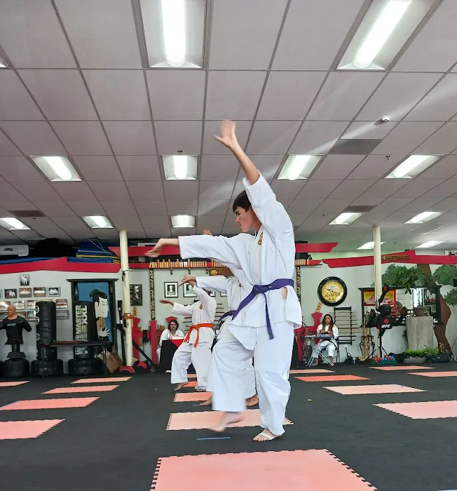 Karate Kids in America Picture 3