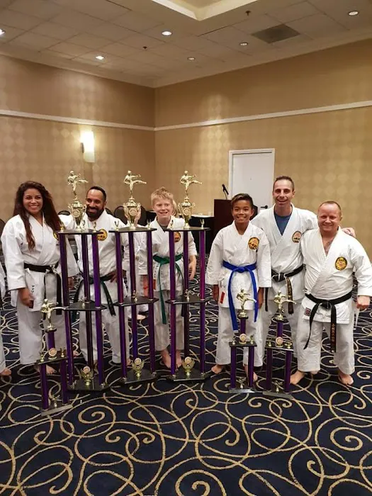 Karate Kids in America Picture 8