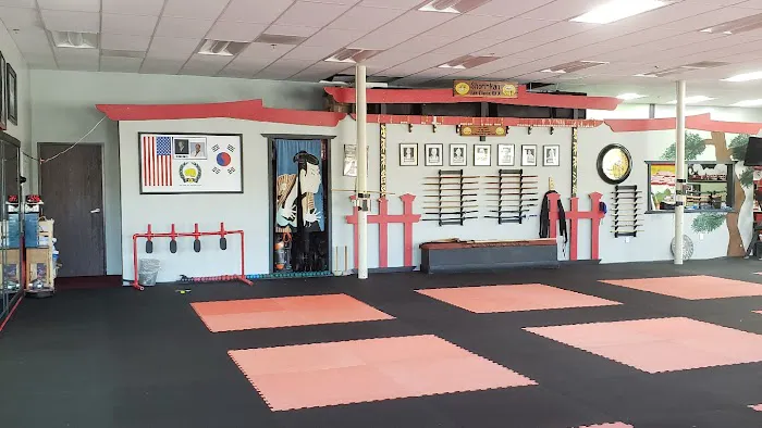 Karate Kids in America Picture 7