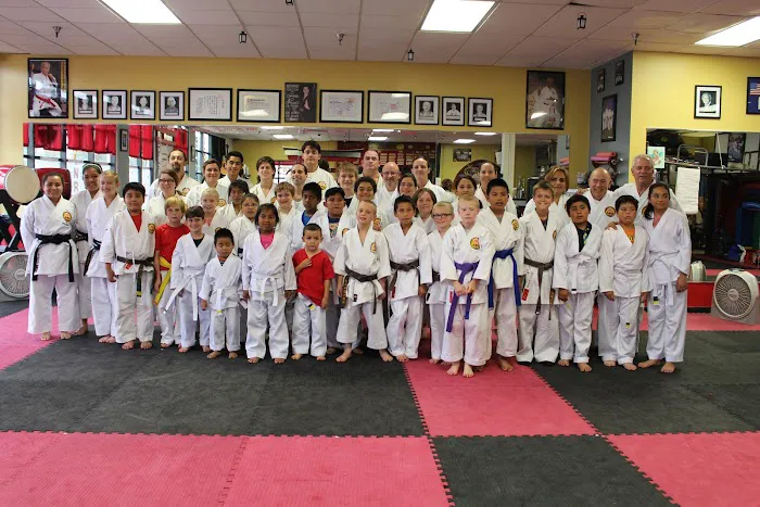 Karate Kids in America Picture 6