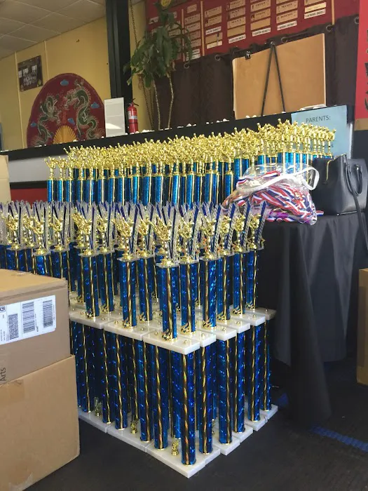 Karate Kids in America Picture 10