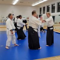 Aikido Training Academy ico