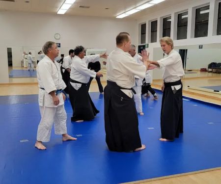 Aikido Training Academy