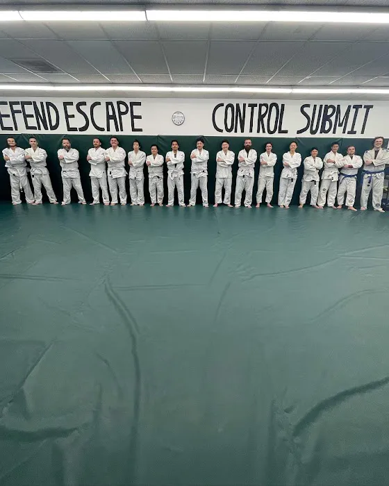 Gracie Jiu Jitsu Vista - Certified Training Center Picture 1