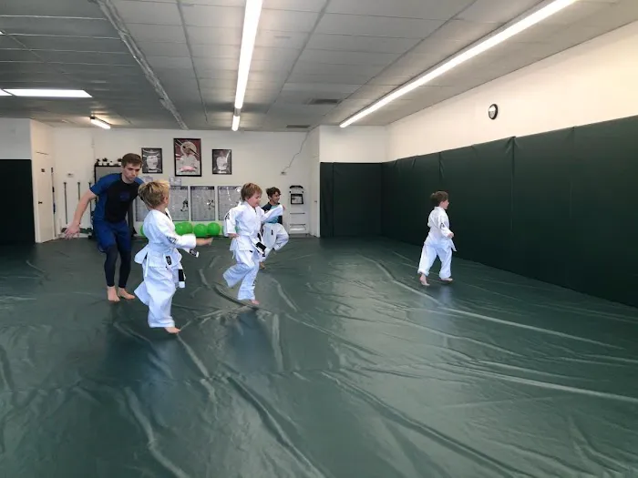 Gracie Jiu Jitsu Vista - Certified Training Center Picture 8