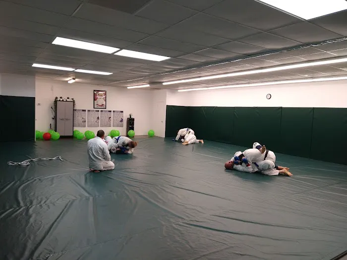Gracie Jiu Jitsu Vista - Certified Training Center Picture 7