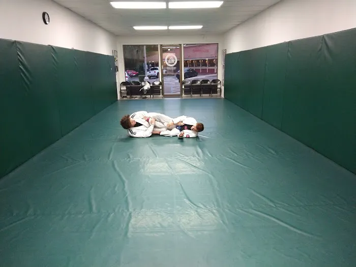 Gracie Jiu Jitsu Vista - Certified Training Center Picture 5