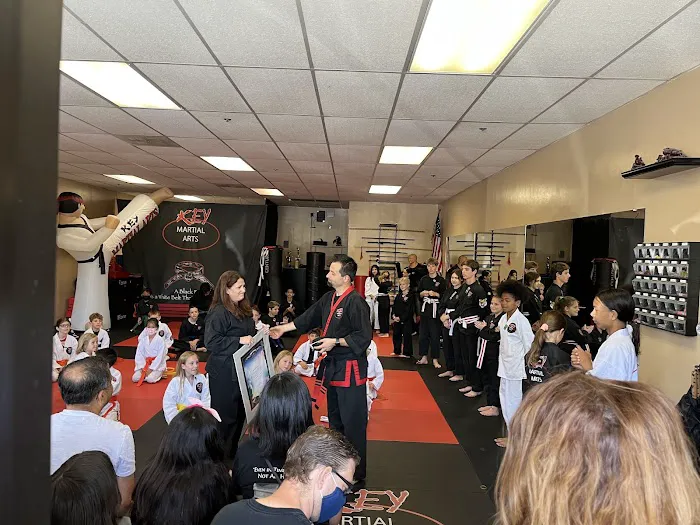 Key Martial Arts Picture 5