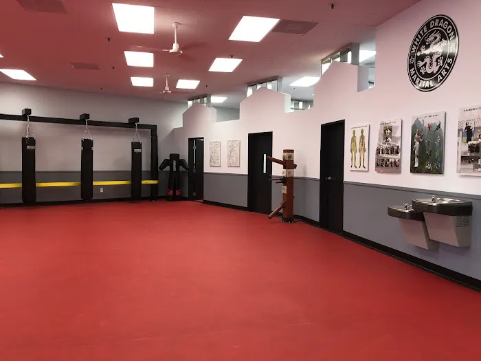 White Dragon Martial Arts - Oceanside Picture 2