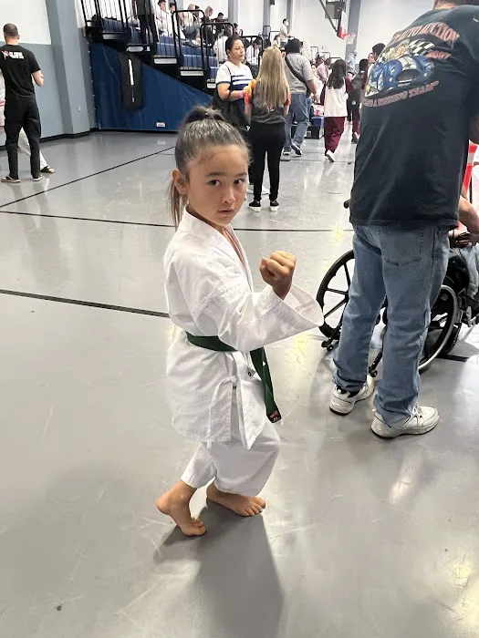 Global Martial Arts Picture 5